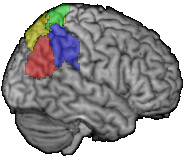 parietal_rend_posterior90.png